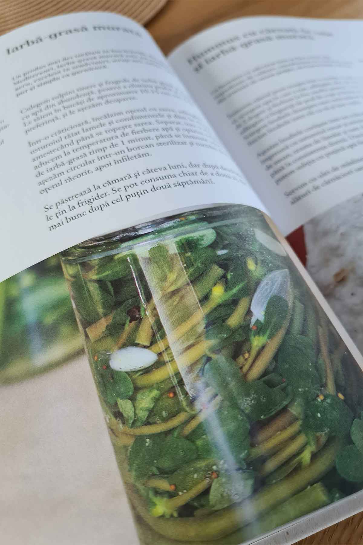 book with weed recipes