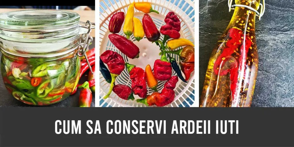 cum sa conservi ardeii iuti