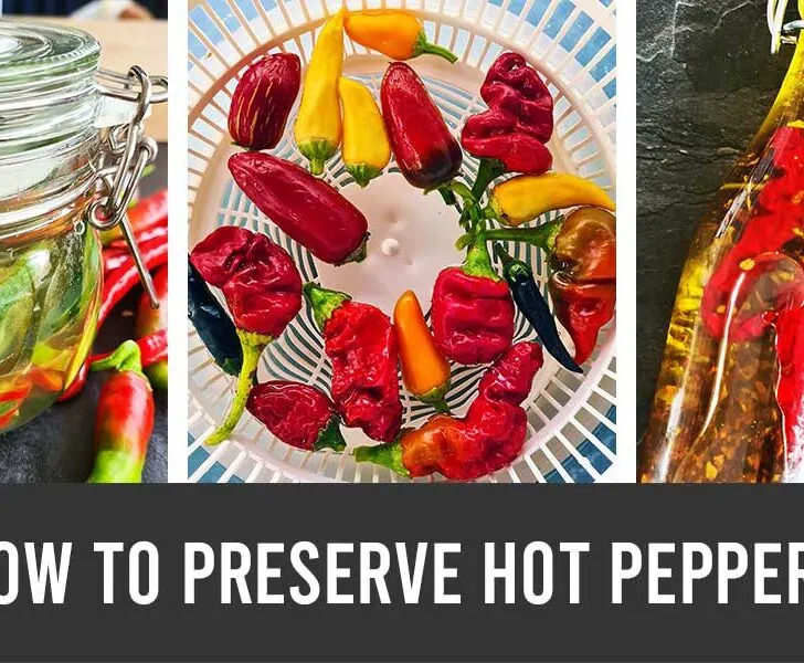 how to preserve hot peppers