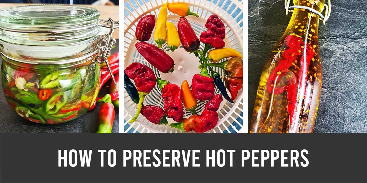 https://gourmandelle.com/wp-content/uploads/2023/01/how-to-preserve-hot-peppers.jpg