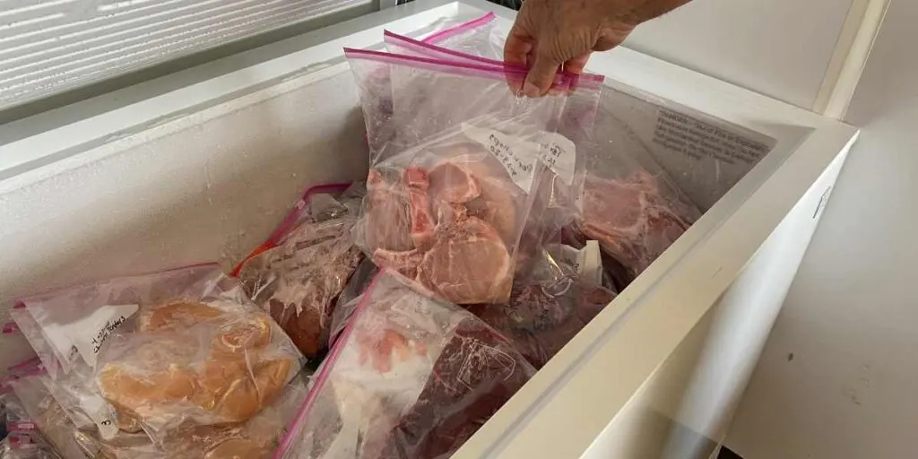 how to store frozen foods
