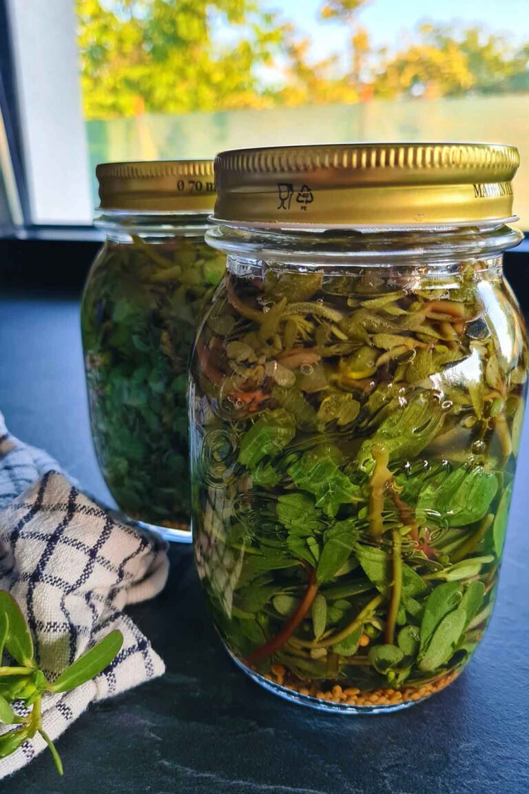 pickled purslane iarba grasa murata