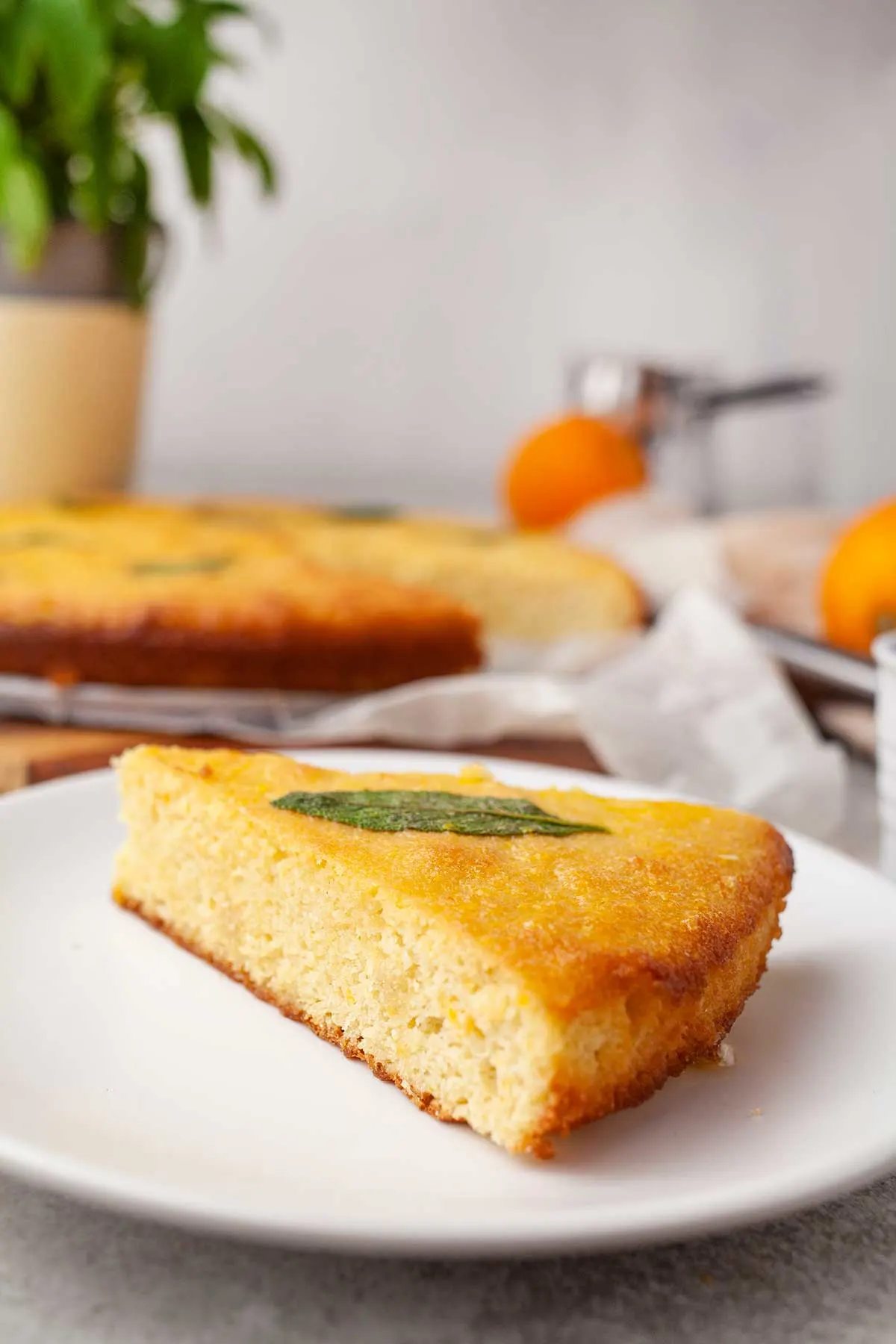 Orange Almond Cake summer recipe 