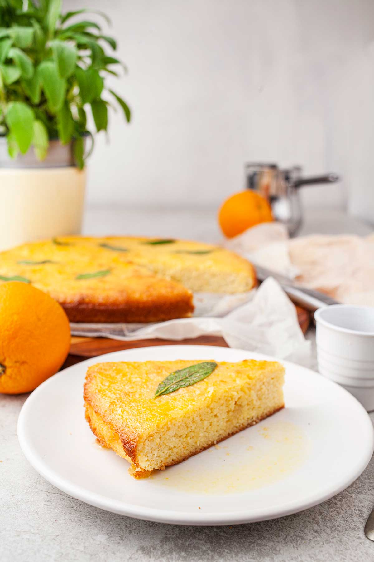 Orange Almond Cake recipe 