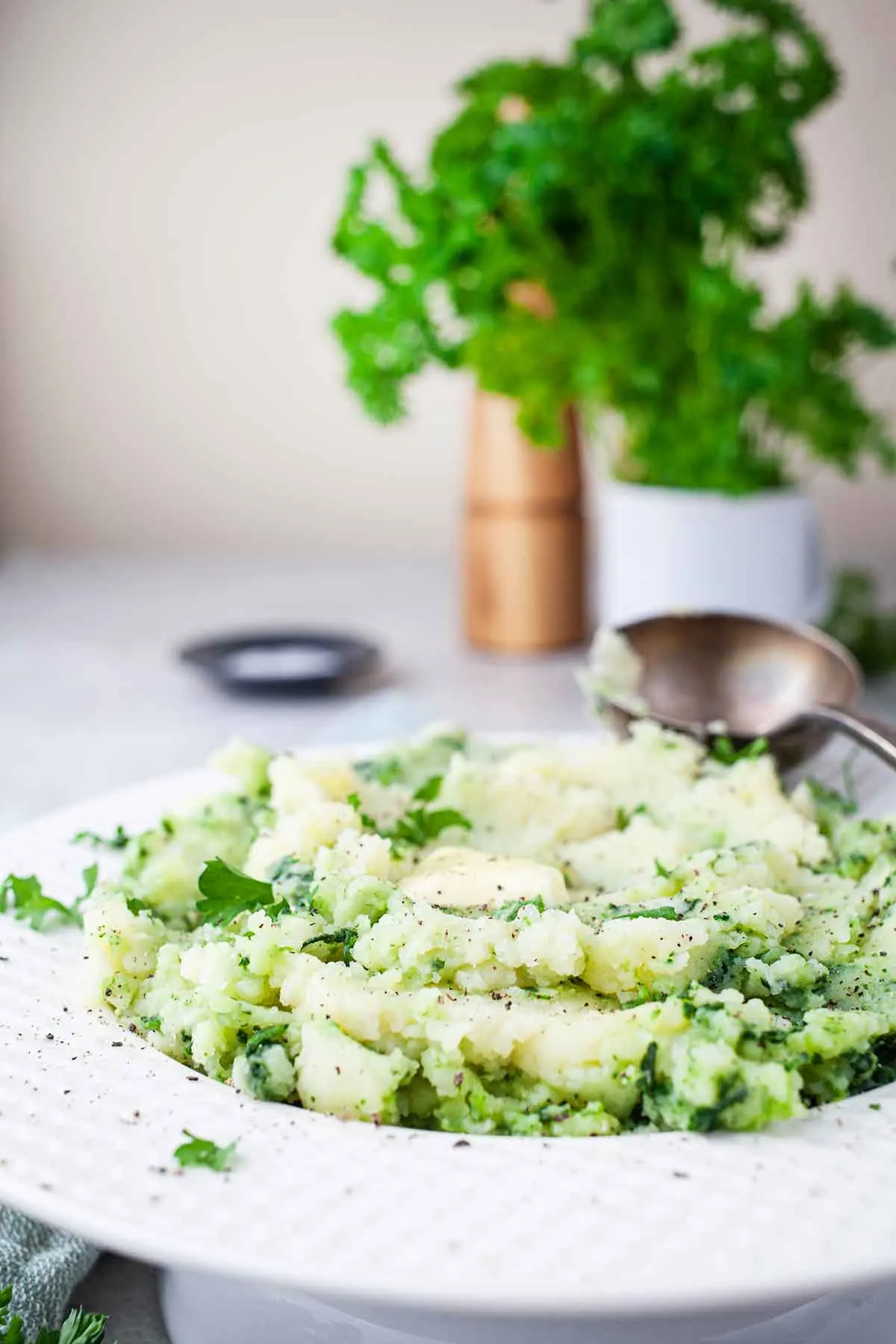 Colcannon Irish Mashed Potatoes Vegetarian Recipe 