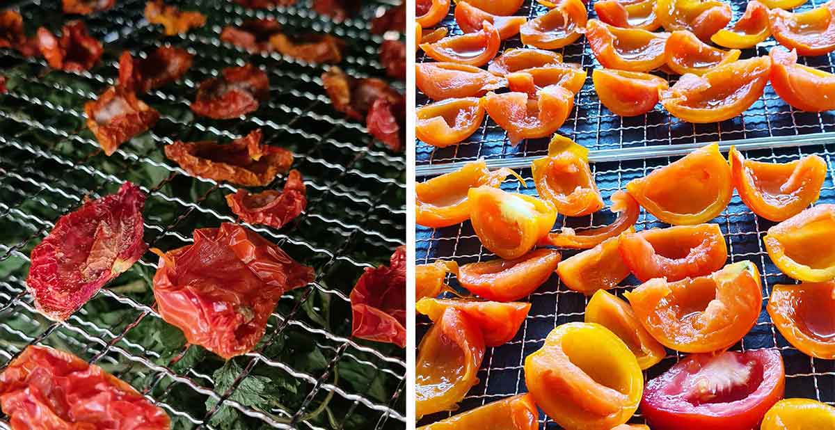 how to dry tomatoes in dehydrator