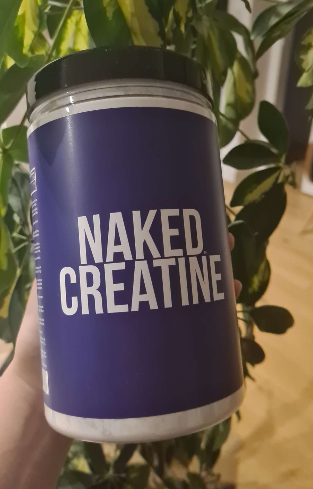 creatine for vegetarians
