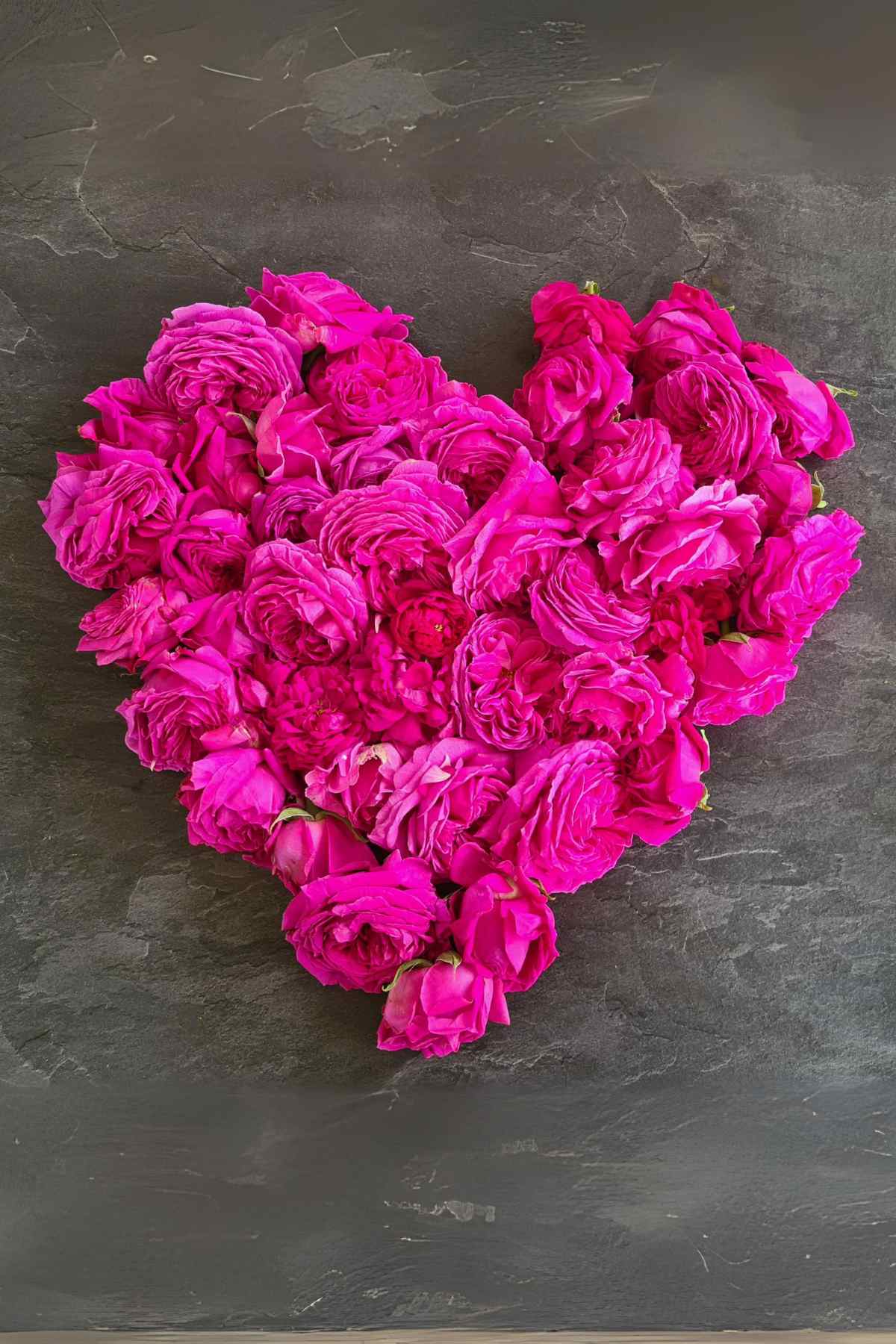 edible roses for rose jelly