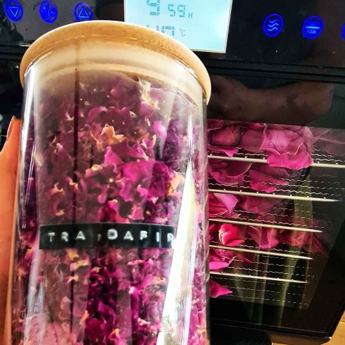 Dried rose petals stored in a jar for tea