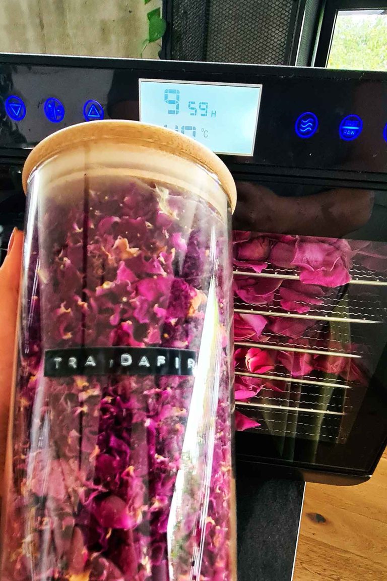 Dried rose petals stored in a jar for tea