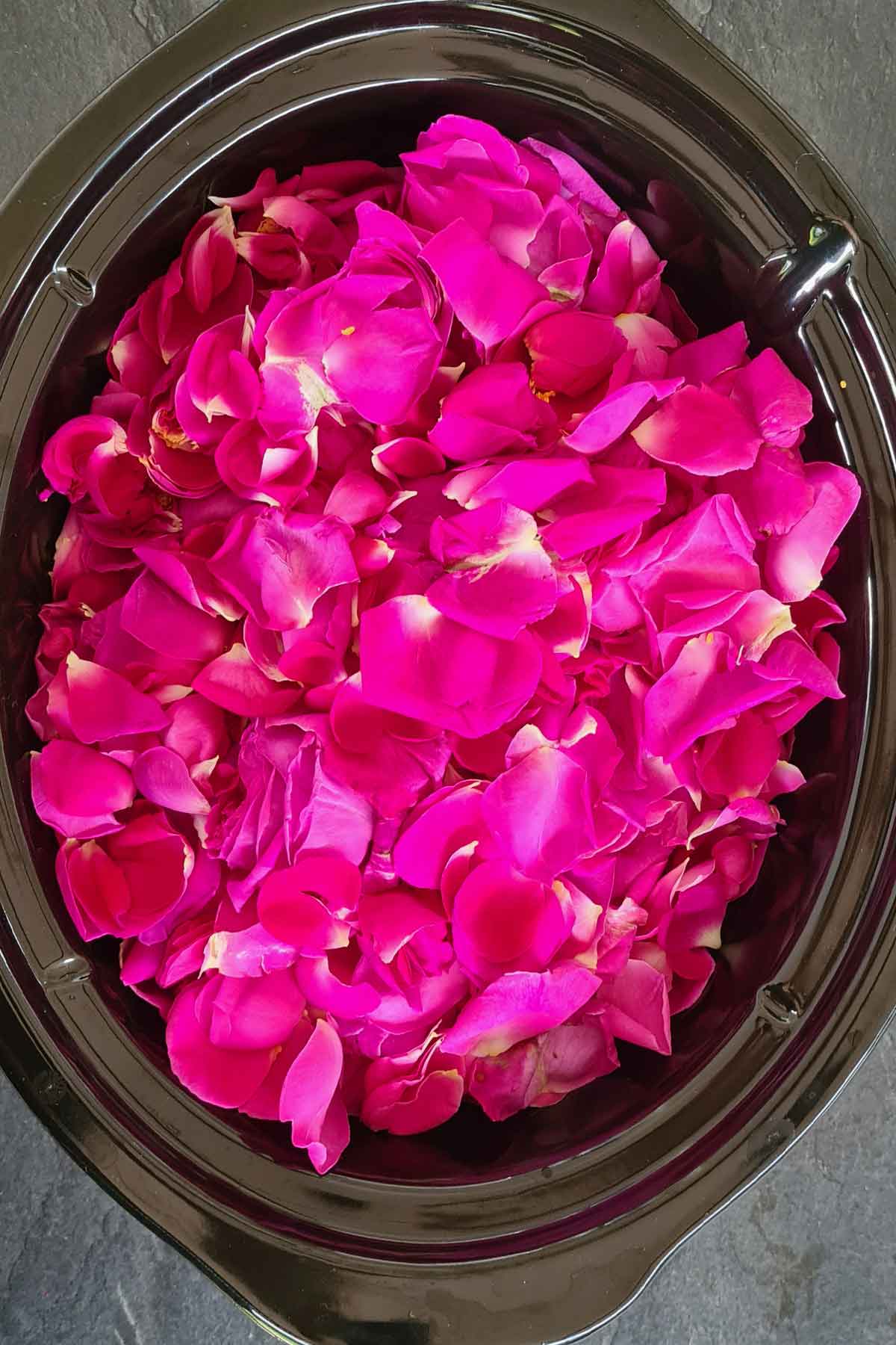 Making rose jelly in a slow cooker