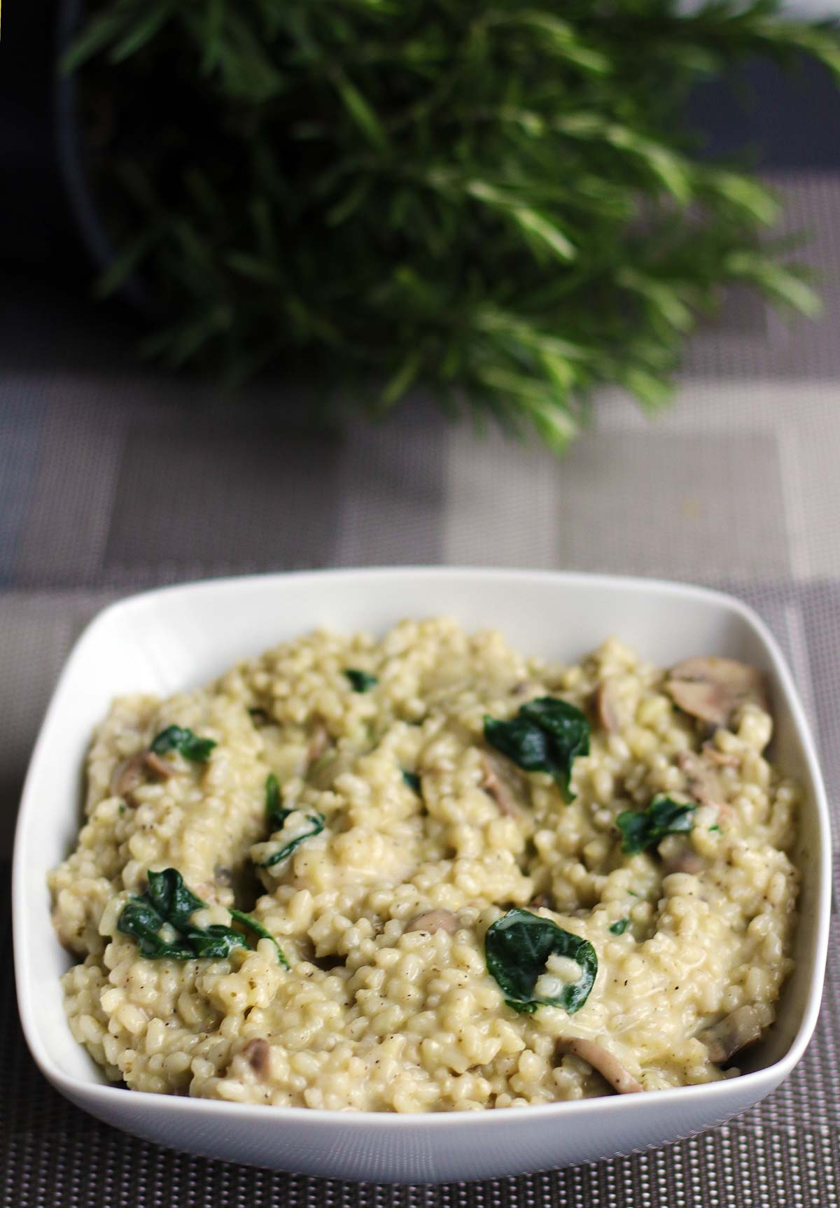 Close-up of creamy mushroom and spinach risotto with visible mushrooms