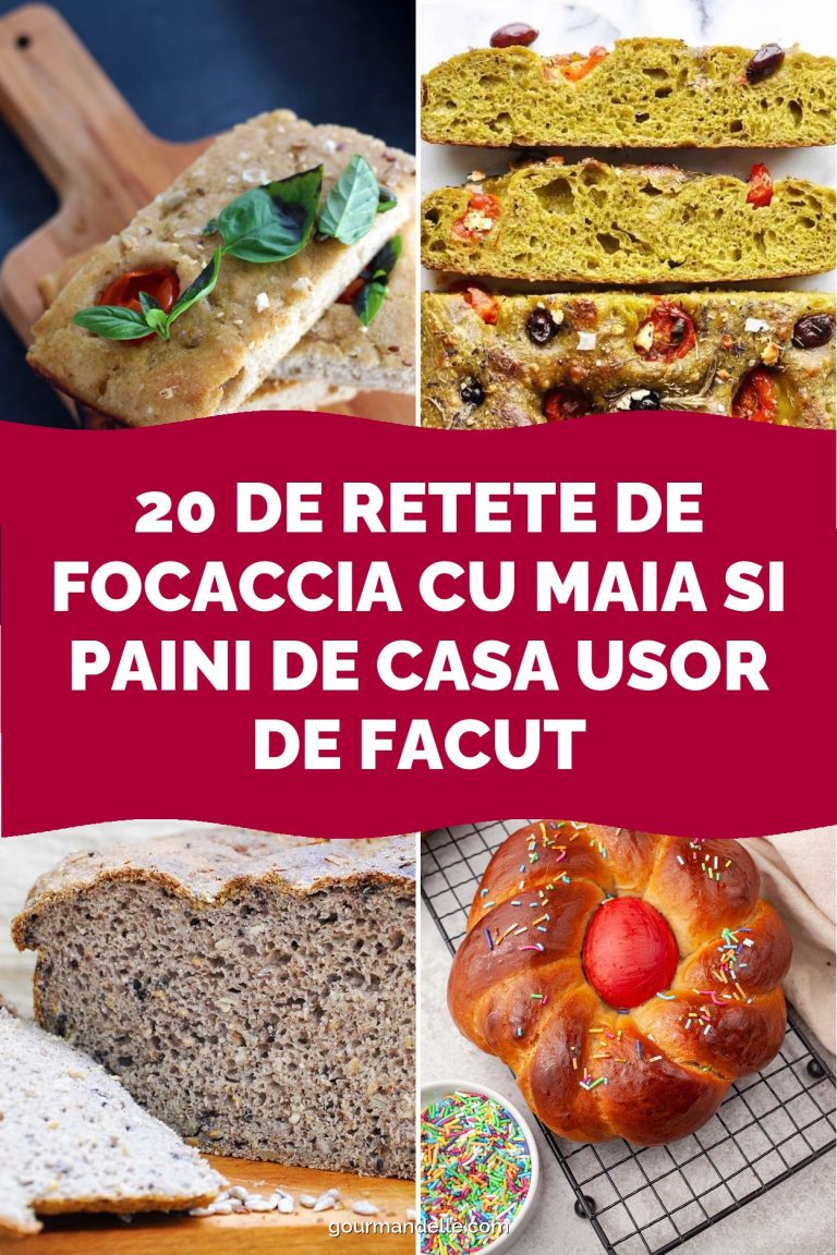 20 de retete de focaccia cu maia si paini de casa usor de facut