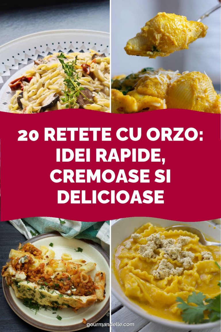 20 Retete cu Orzo: Idei Rapide, Cremoase si Delicioase