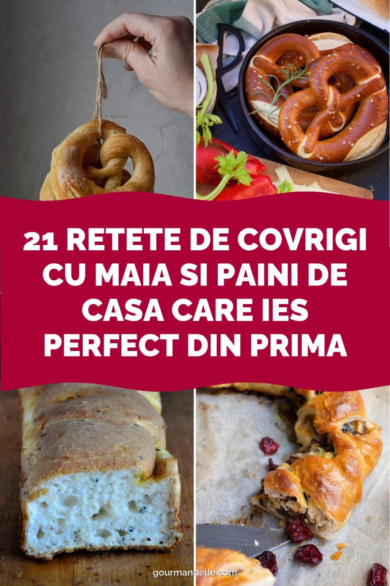 21 retete de covrigi cu maia si paini de casa care ies perfect din prima