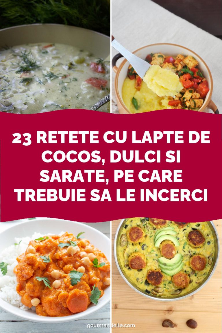 23 Retete cu Lapte de Cocos, Dulci si Sarate, pe Care Trebuie sa le Incerci