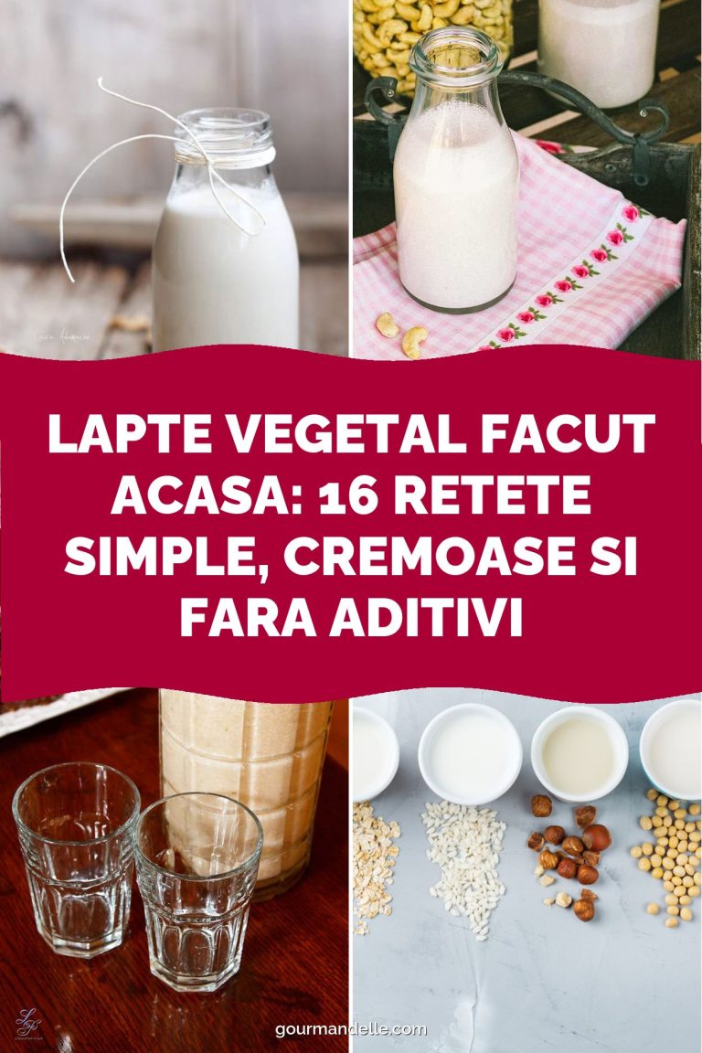 Lapte vegetal facut acasa: 16 retete simple, cremoase si fara aditivi