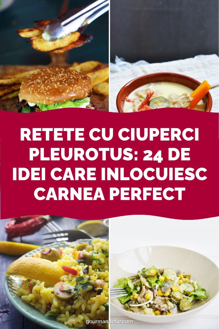 Retete cu ciuperci Pleurotus: 24 de idei care inlocuiesc carnea perfect