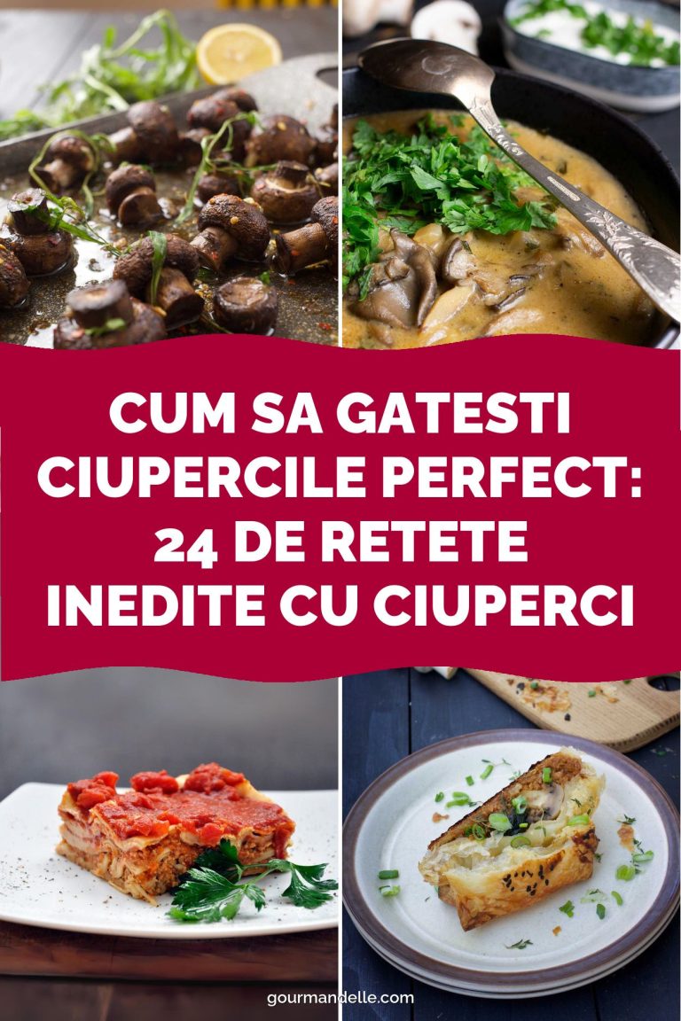 Cum sa gatesti ciupercile perfect: 24 de retete inedite cu ciuperci