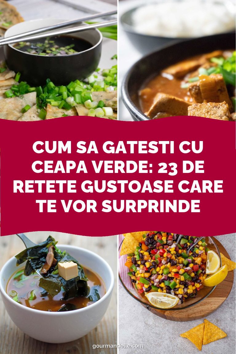 Cum sa gatesti cu ceapa verde: 23 de retete gustoase care te vor surprinde