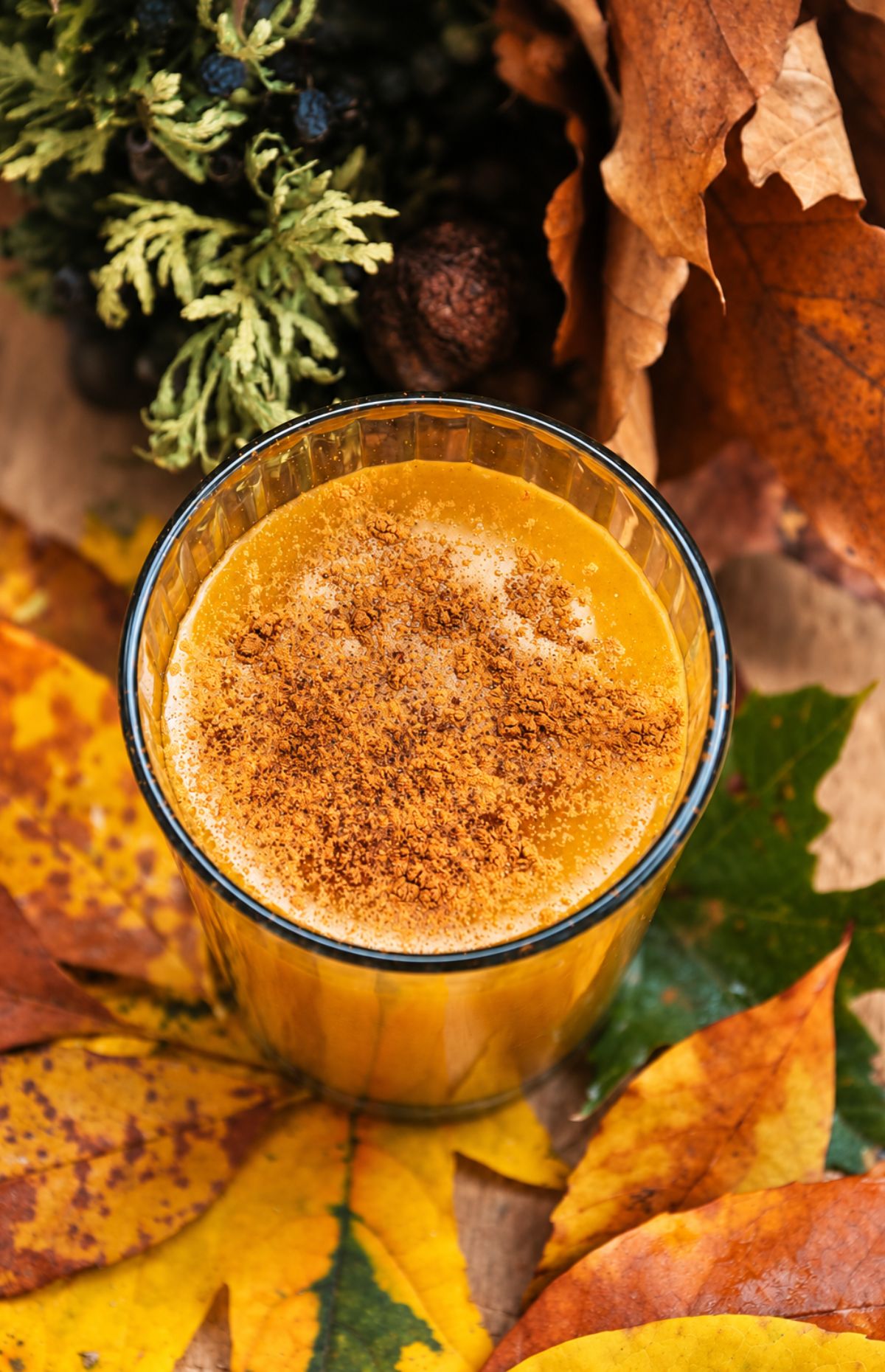 Pumpkin Pie Smoothie