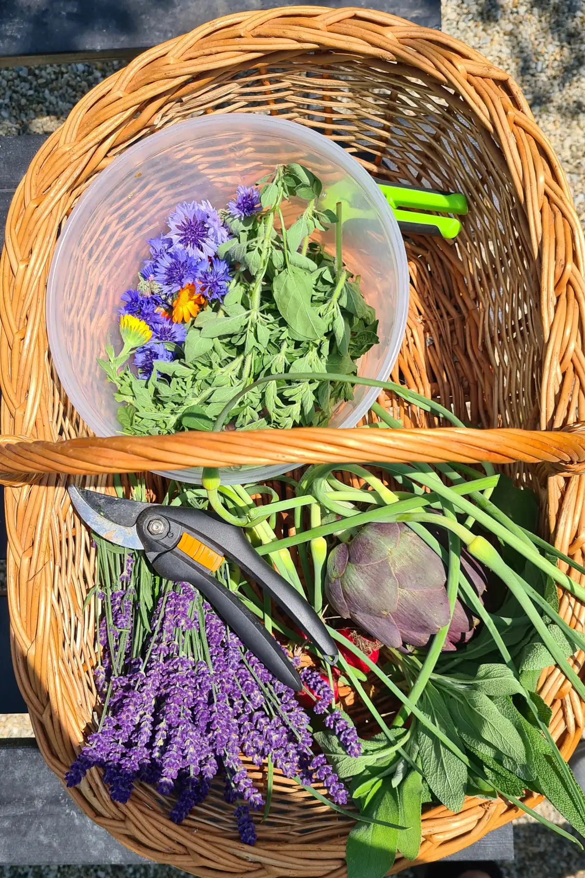 A wicker basket of fresh garden herbs, with lavender, an artichoke, edible flowers in a glass bowl and pruning shears.