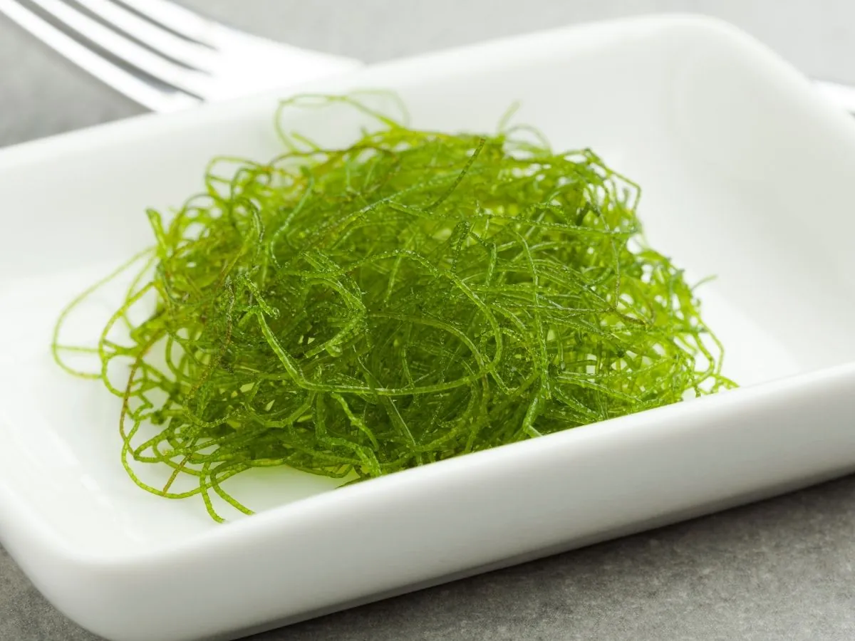 A small nest of thin, bright green seaweed strands in a white rectangular dish, with a fork beside it.