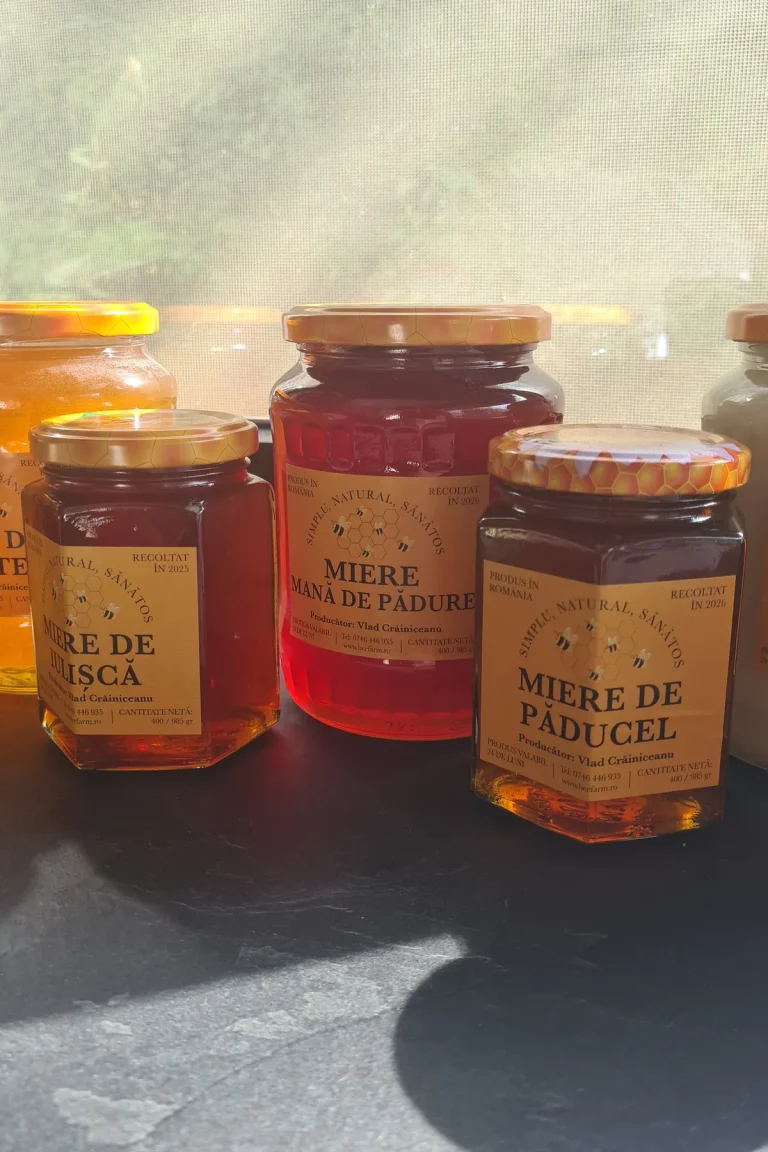 Jars of dark knotweed honey, ruby red honeydew honey and hawthorn honey side by side