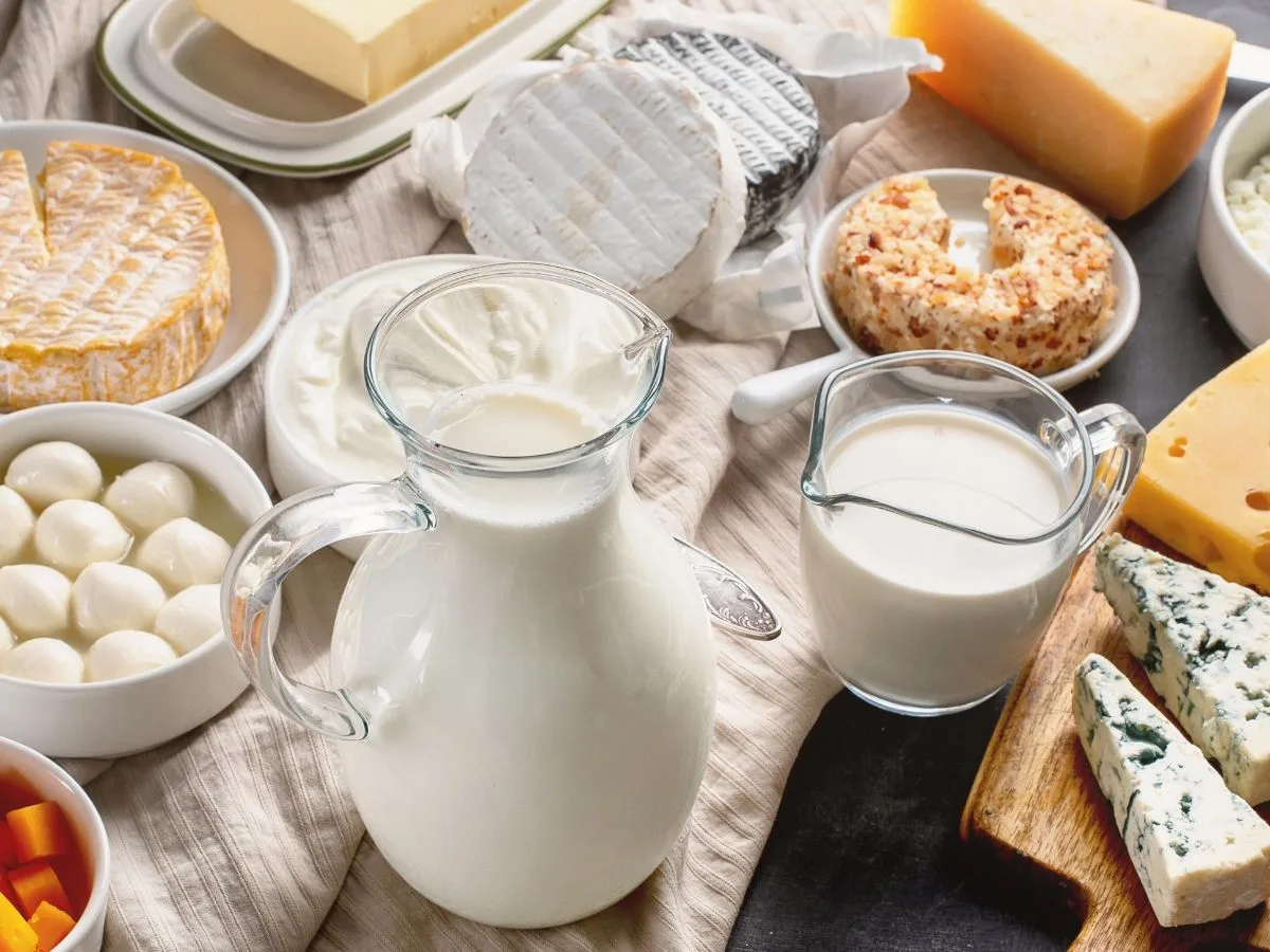 Lactate pe un șervet de in: o carafă și un ulcior de sticlă cu lapte, bile de mozzarella, camembert, brie, iaurt, cașcaval și brânză cu mucegai albastru pe un fund de lemn.