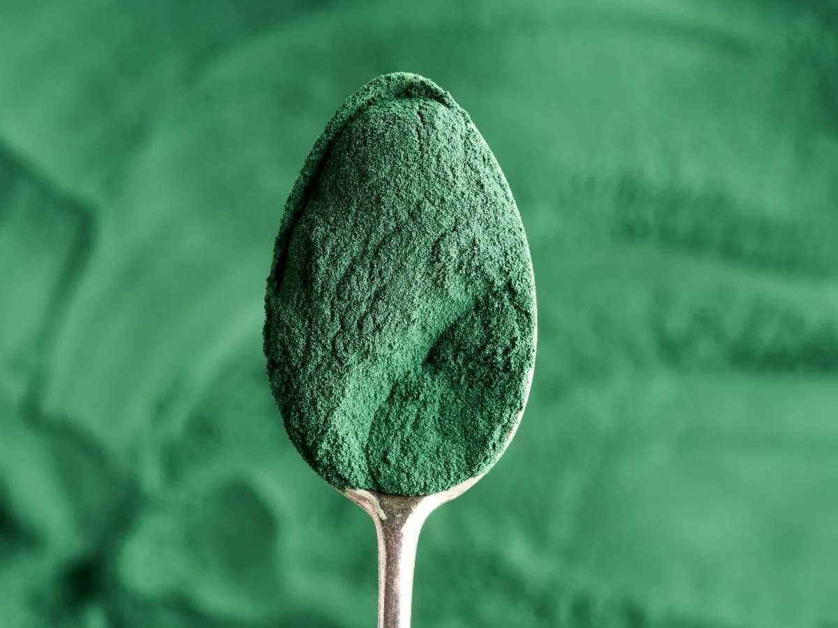 A heaped spoonful of fine dark green spirulina powder against a blurred background of more spirulina.